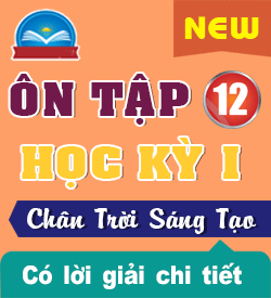 Ôn tập Học kỳ I (CTST_12)
